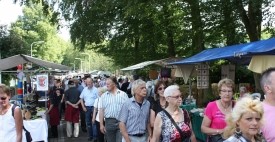 IMG_4810